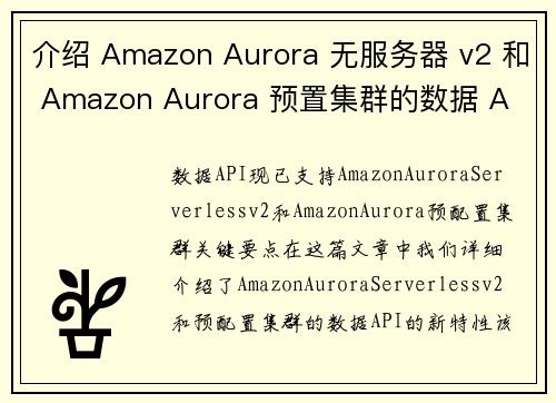 介绍 Amazon Aurora 无服务器 v2 和 Amazon Aurora 预置集群的数据 A
